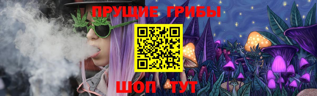 Галлюциногенные грибы Psilocybe  Псилоцибиновые грибы прущие грибы  Вход с VPN  Баксан 