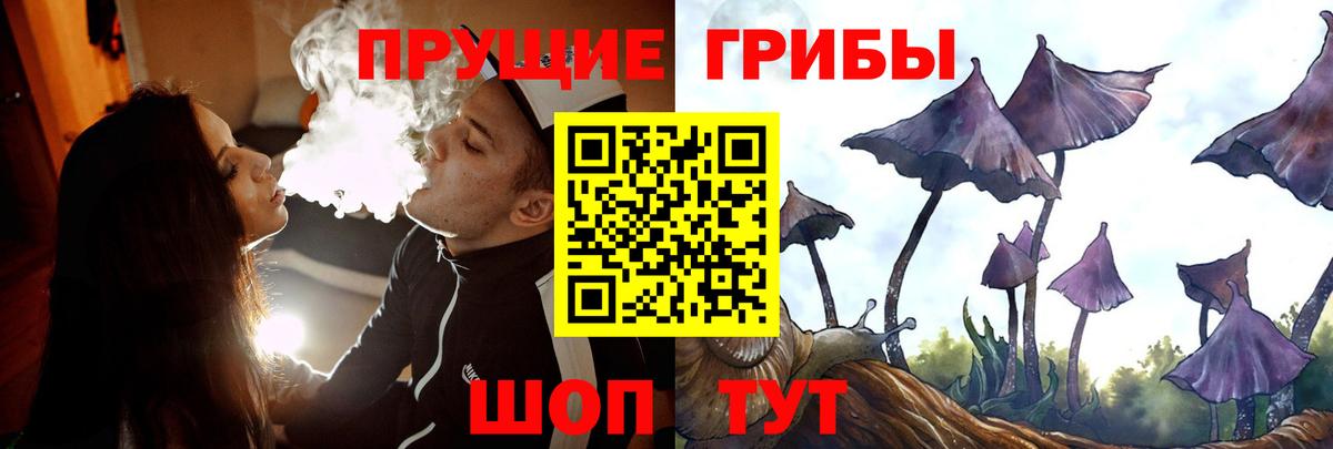 Псилоцибиновые грибы мухоморы Баксан